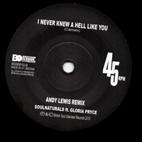 I Never Knew A Hell Like You (Orig/Andy Lewis Mix)