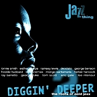 Diggin Deeper Vol 2 Roots Of Acid Jazz (180Gm)