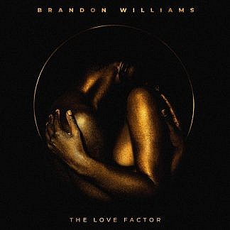 The Love Factor (pre-order: Due 18th September)