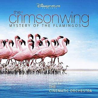 The Crimson Wing - Mystery Of The Flamingoes