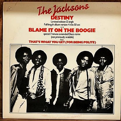 Blame It On The Boogie /Destiny
