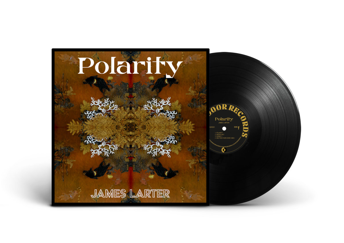 Polarity (pre-order due 13th May)