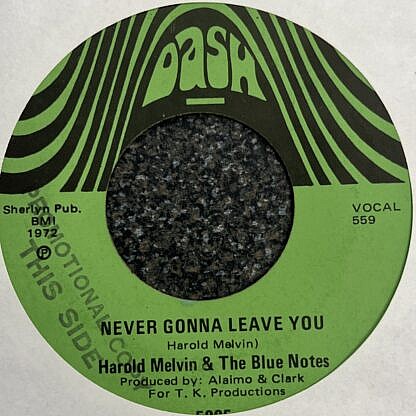 Never Gonna Leave You|Hob Chills Cold Thrills And Fever