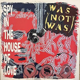 Spy In The House Of Love Mixes