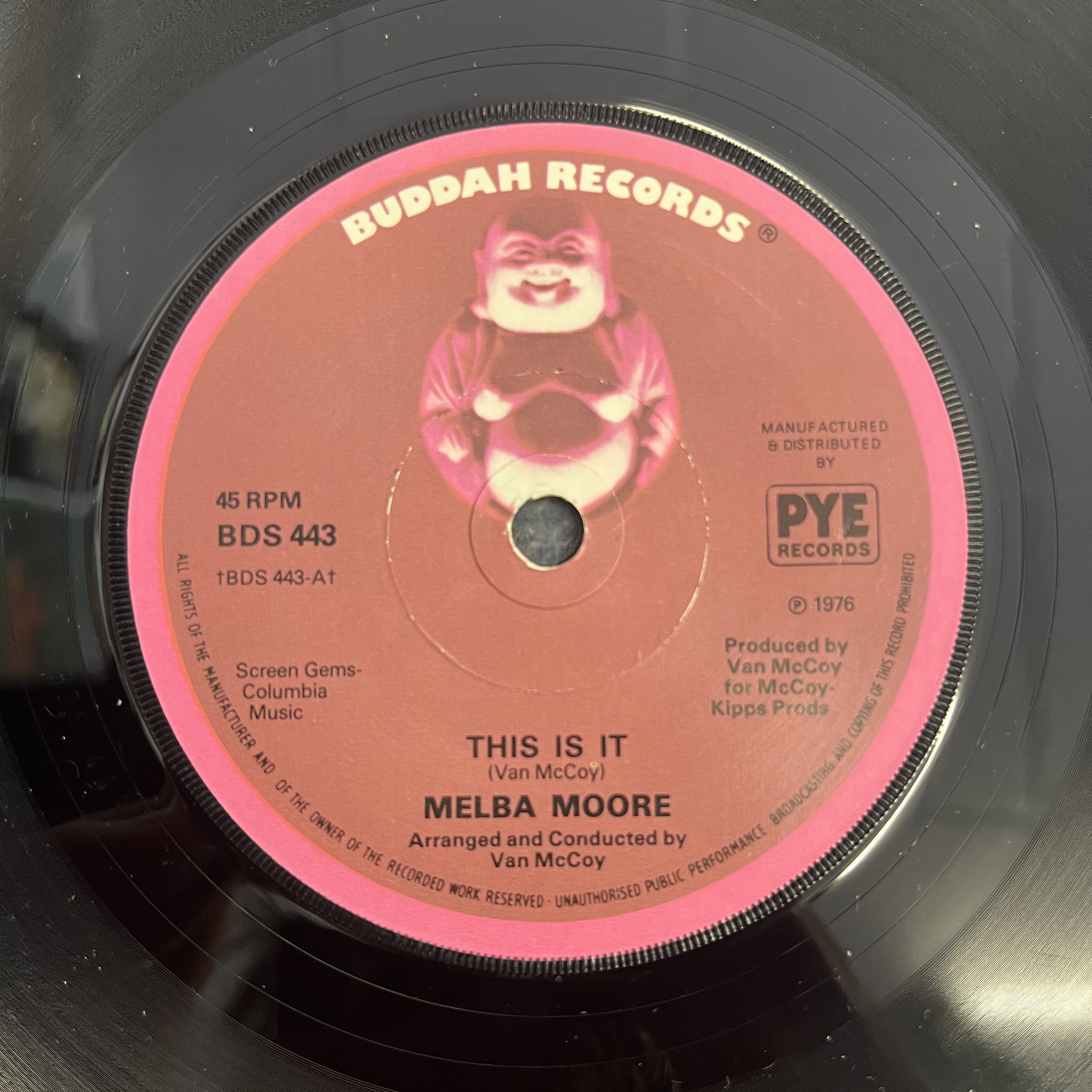 This Is It | Stay Awhile