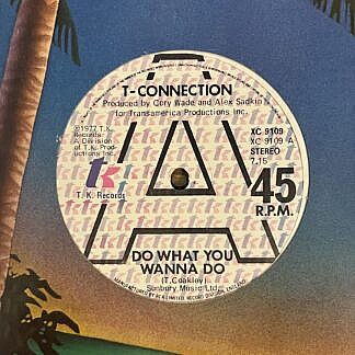 Do What You Wanna Do | Got To See My Lady