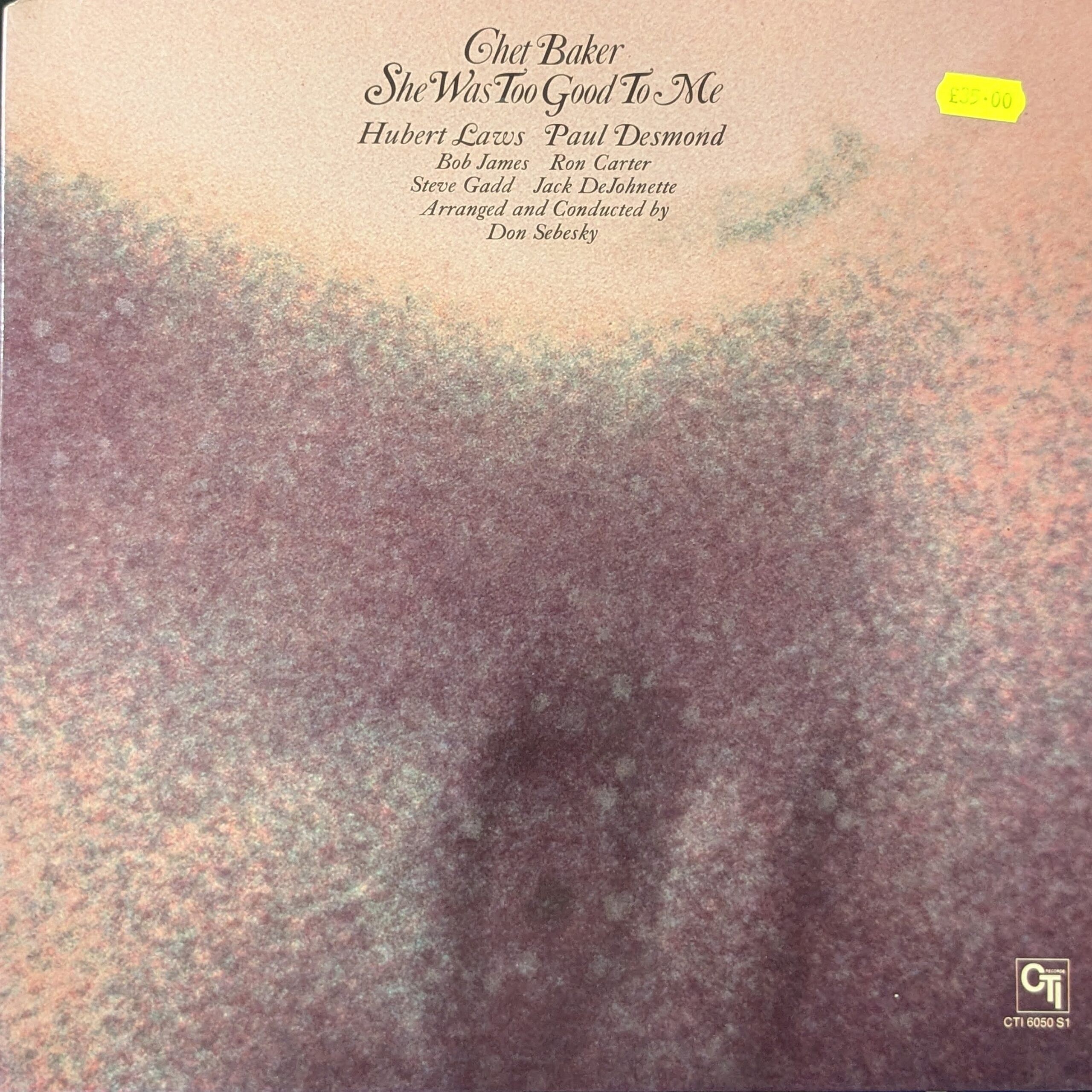 She Was Too Good To Me