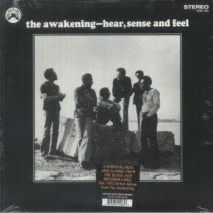 Hear Sense Feel (Blue/Black swirl vinyl)