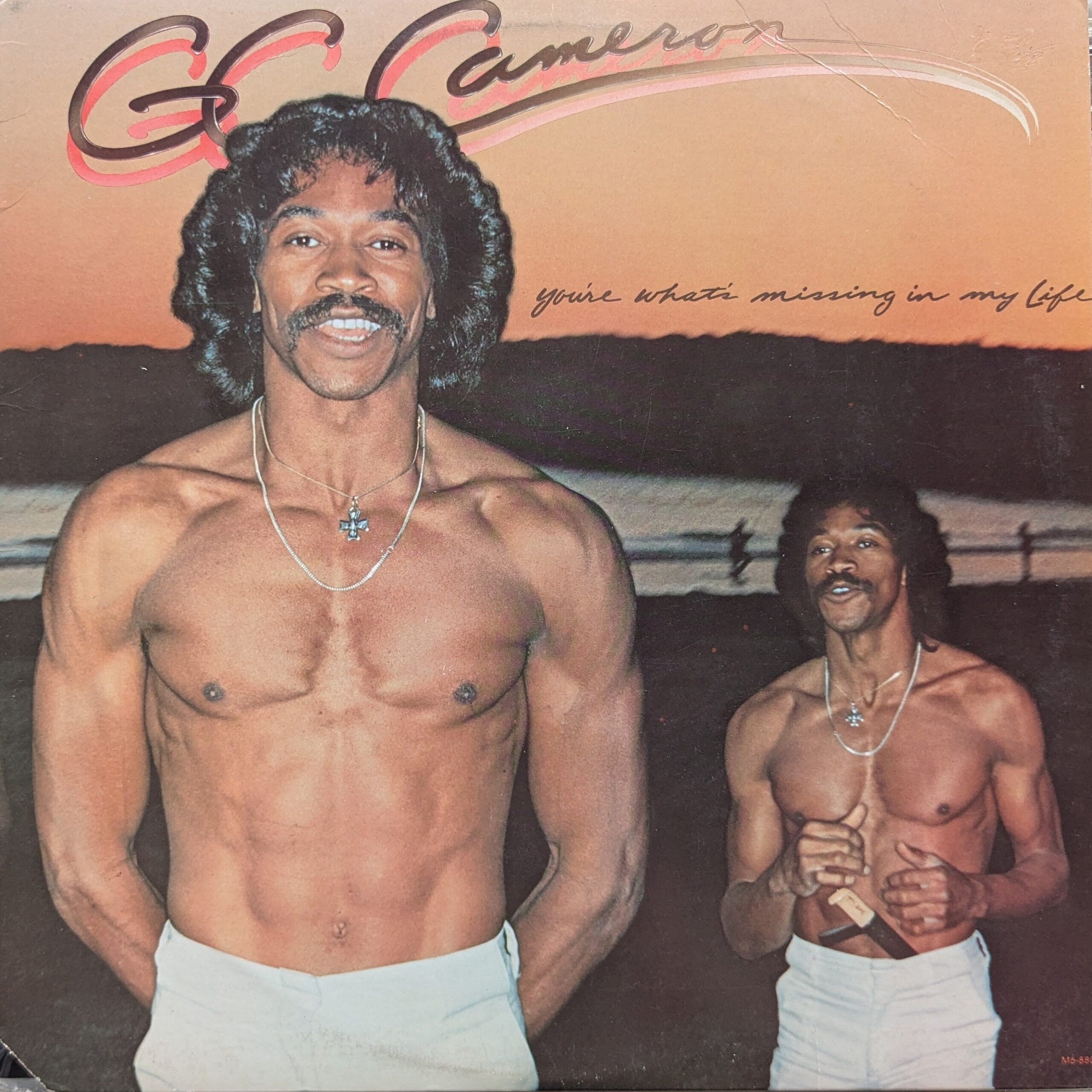 Youre Whats Missing In My Life