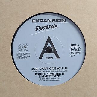 Just Cant Give You Up/I Cant Forget About You DJ copy