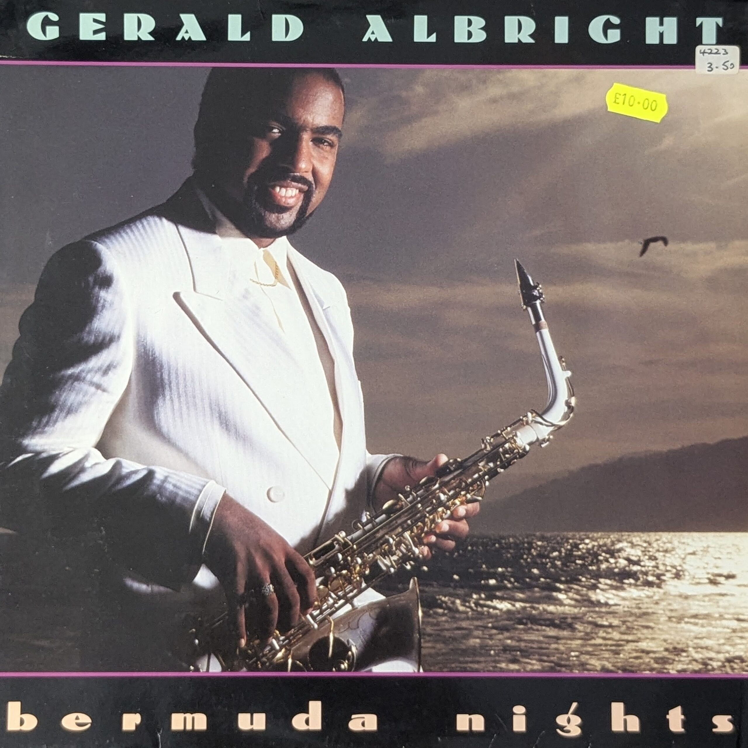 Bermuda Nights
