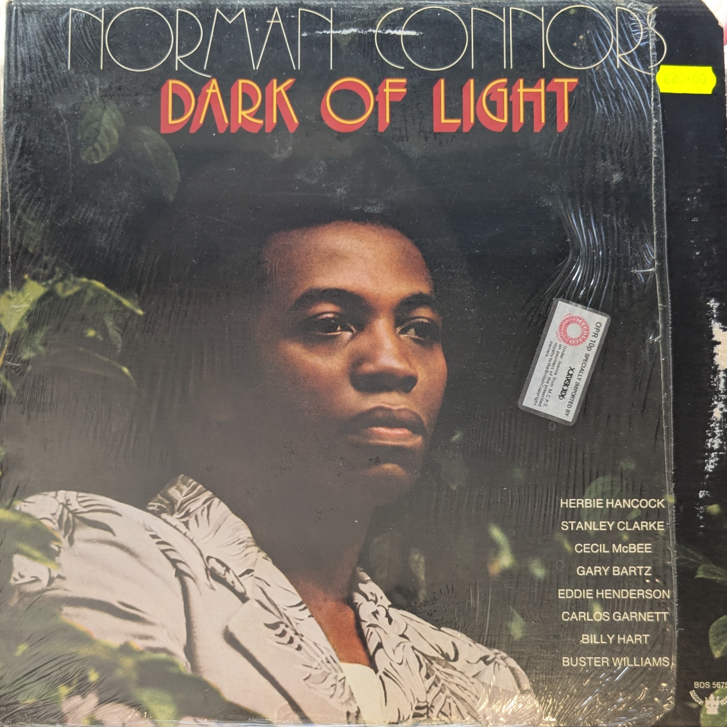 Dark Of Light