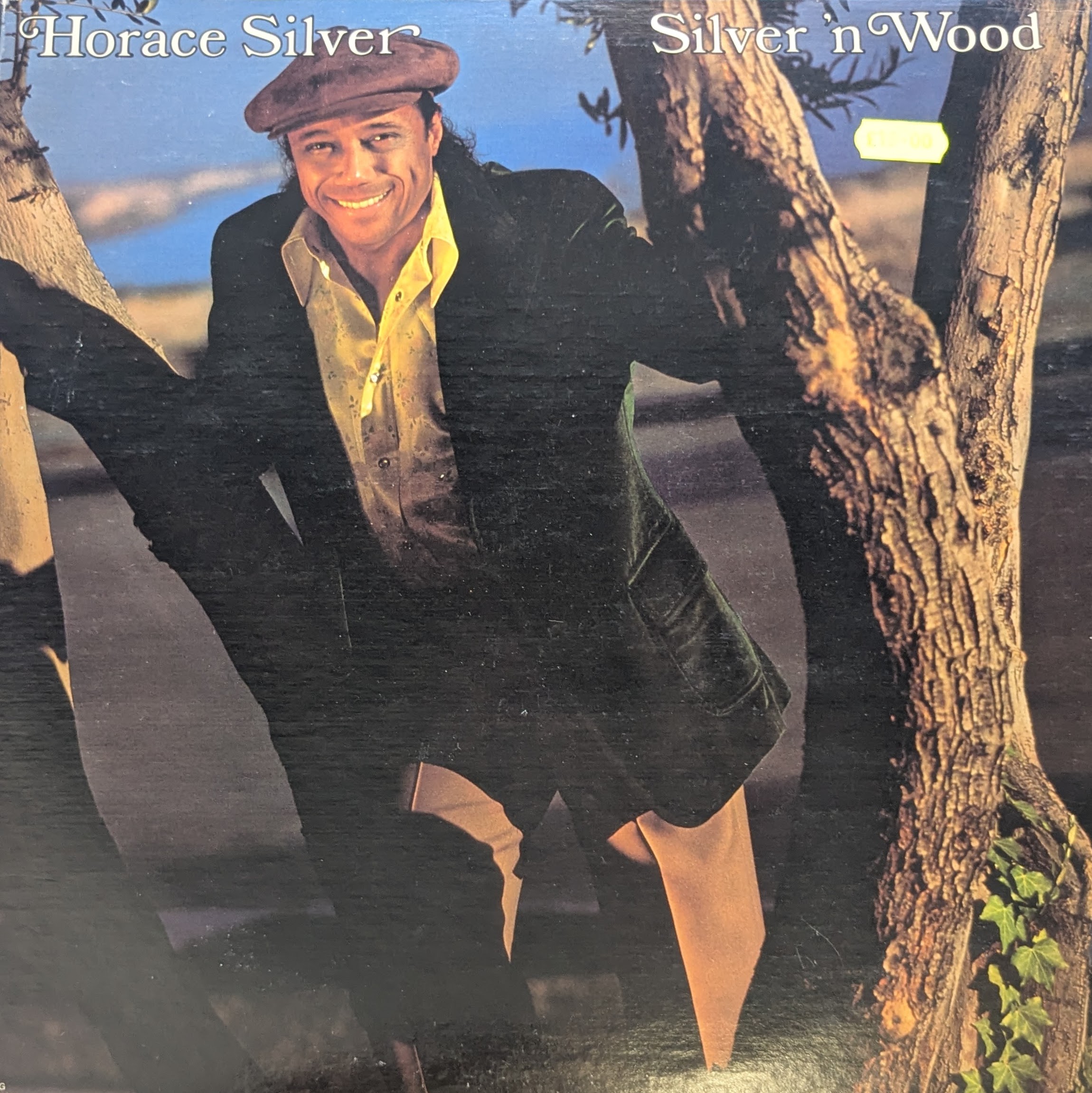 Silver N Wood