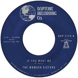 If You Want Me/I Just Dont Want You (To Say Goodbye)